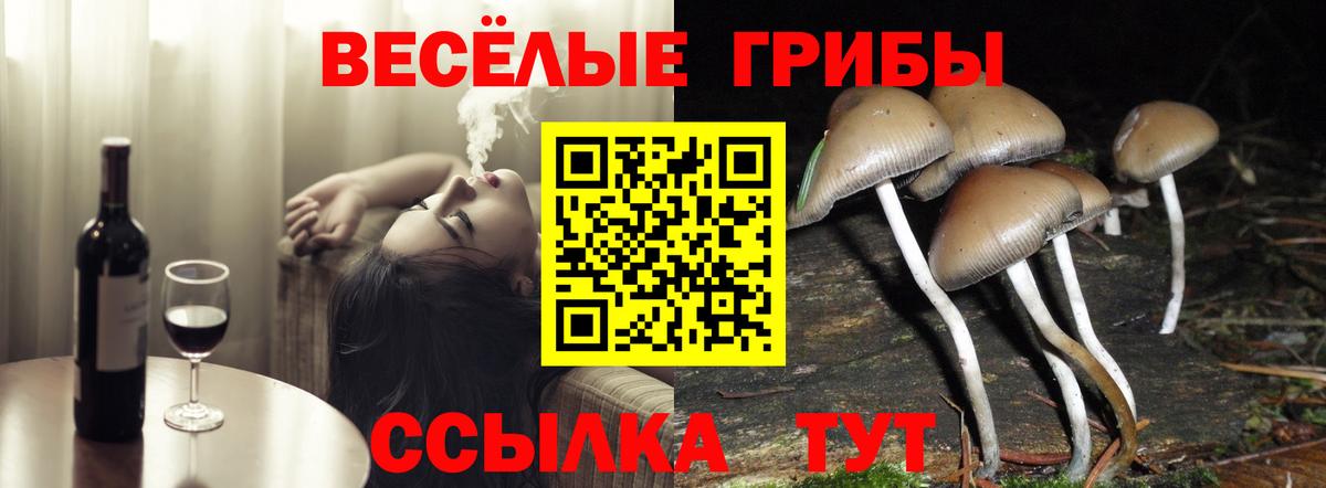 Псилоцибиновые грибы Psilocybine cubensis  Вход с VPN  Тольятти 